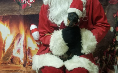 Santa Pics 2024