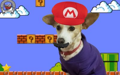 Mario Day