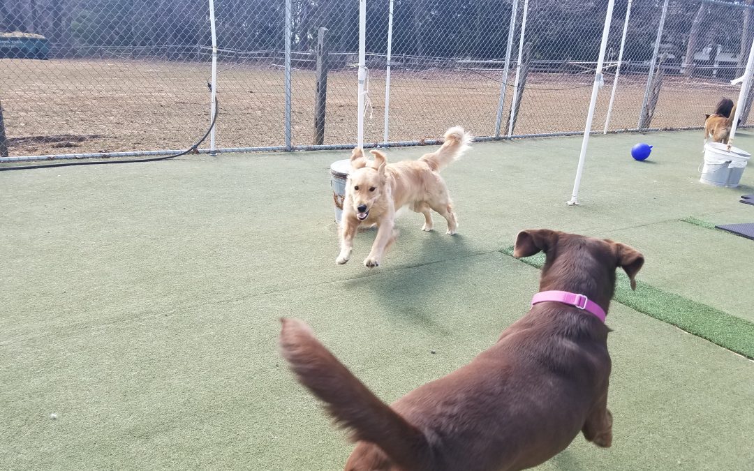3_14_25 Jolly Ball Play :-)