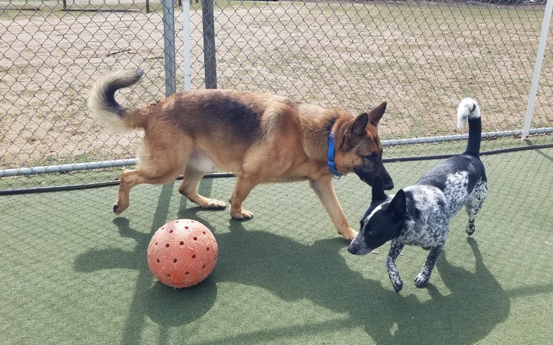 3_26_25 Indestructoball Play :-)