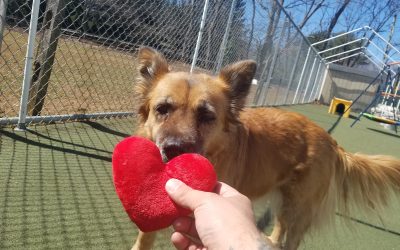 3-27-25 Playtime! :)