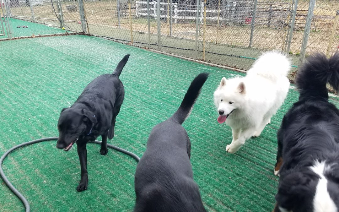 4-5-25 Playtime! :)
