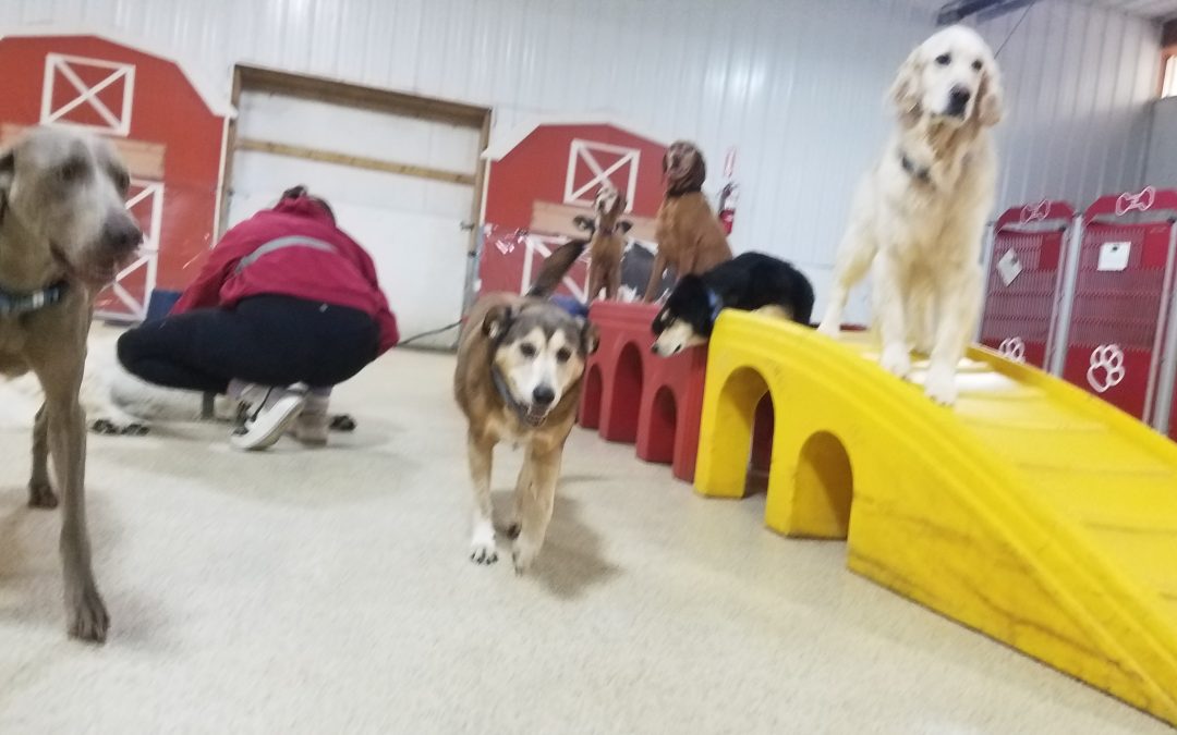 4-6-25 Playtime! :)