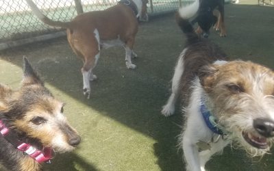 5-1-25 Playtime! :)