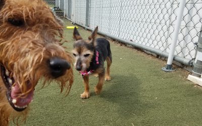 5-4-25 Playtime! :)