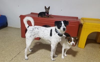 5-9-25 Playtime! :)