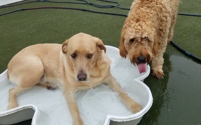 6-9-25 Playtime! :)