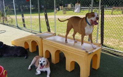 6-12-25 Playtime! :)