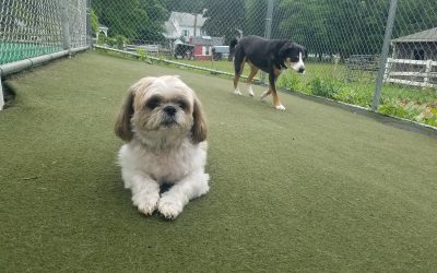 6-18-25 Playtime! :)