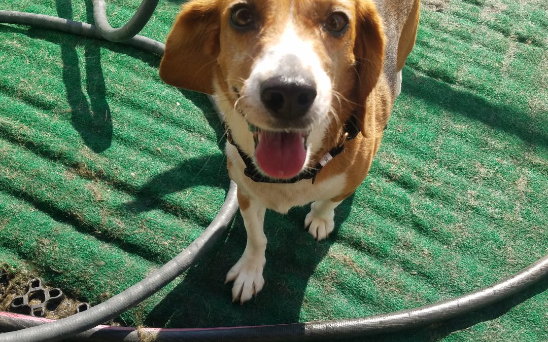 6-19-25 Playtime! :)