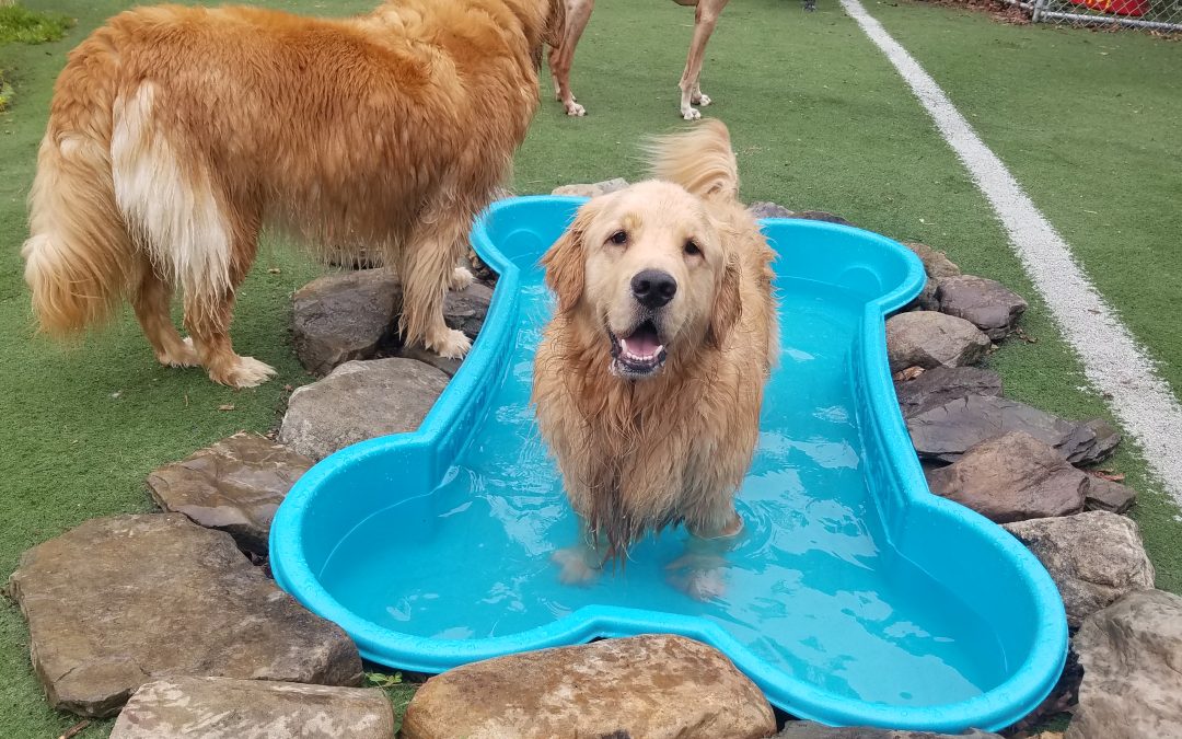 6-28-25 Playtime! :)