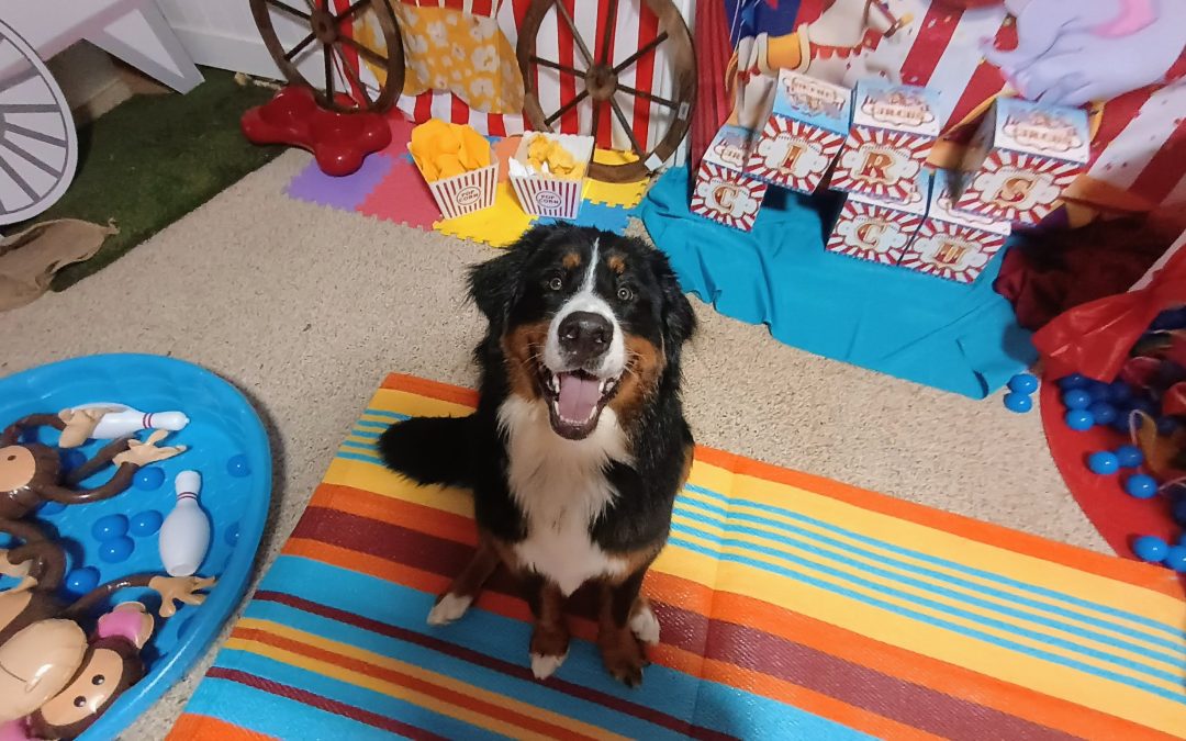 6-12-25 Bubbles, Muffin Tin Treats, + Scent Space! :)