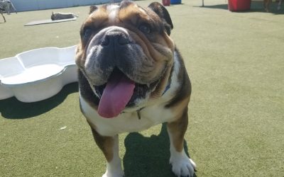 7-4-25 Playtime! :)