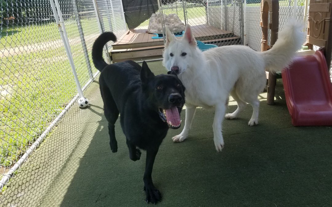 7-8-2025 Playtime! :)