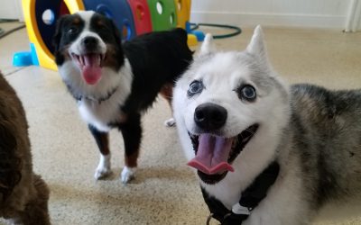 7-14-25 Playtime! :)