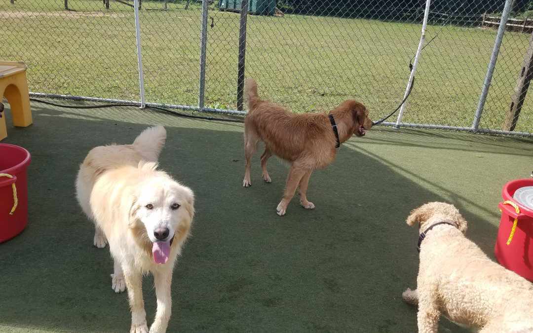 8/19/2025 Playtime! :)