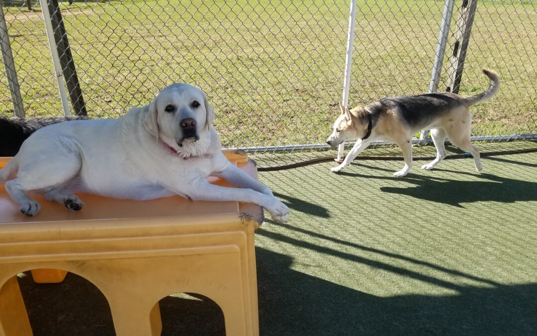 10/2/2025 Playtime! :)