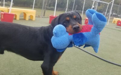 11-1-25 Playtime! :)