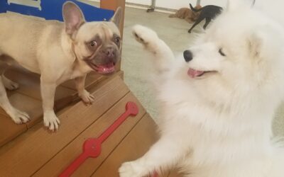 11.14.25 Playtime!! :)