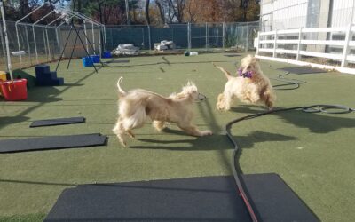 Playtime :) 11.16.25