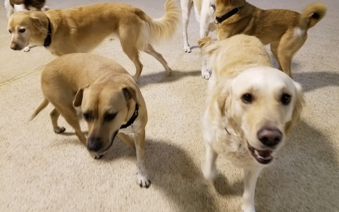 1-5-26 Playtime! :)