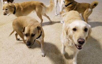 1-5-26 Playtime! :)